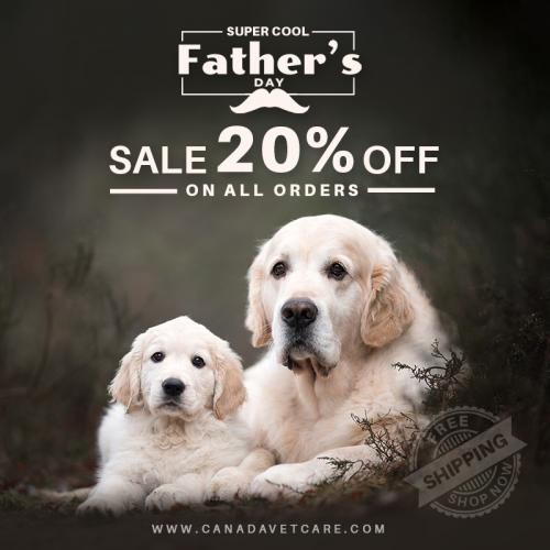 CVC-Father's-Day-Sale-20% Off- June 24