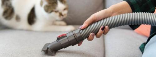 Bond Cleaning with Pets Making the Move Smooth for Furry Friends