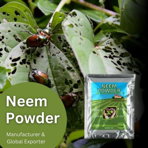 Neem Powder For Plants  Manufacturer & Global Exporter