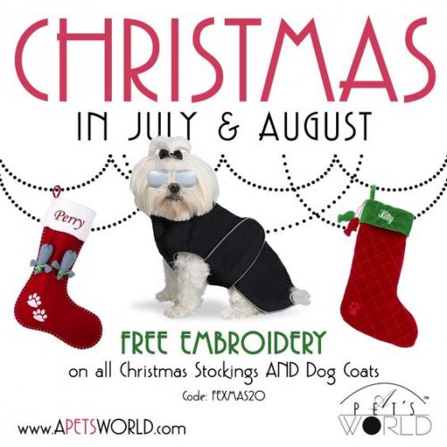 Christmas Stockings | A Pet's World