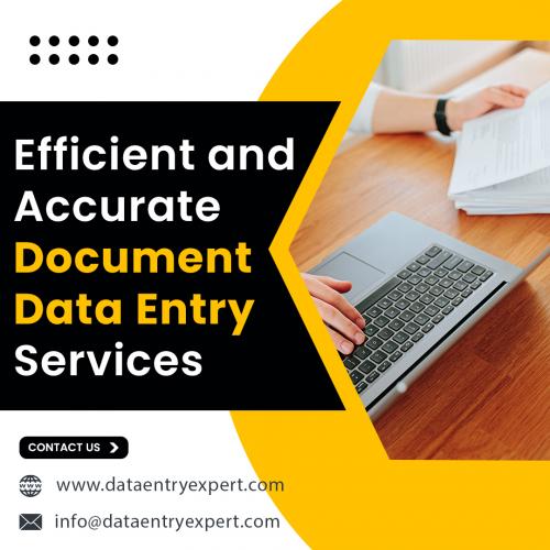 Efficient and Accurate Document Data Entry Services