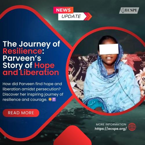 The Journey of Resilience Parveens Story of Hope and Liberation