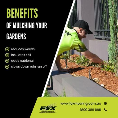 Benefits Of Mulching Your Gardens