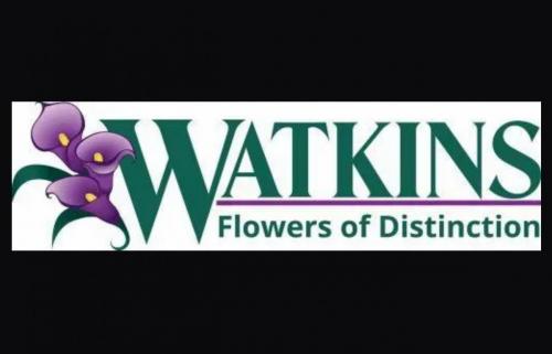 Watkins Flowers - flower shops in raleigh nc