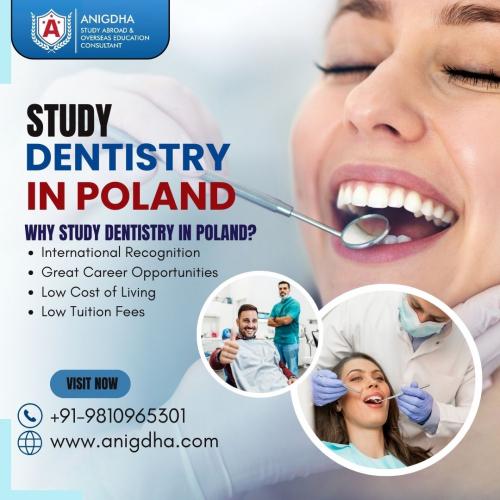 Study Dentistry in Poland