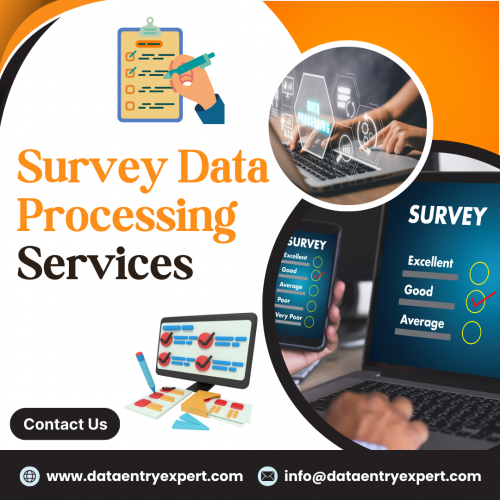 Survey Data Processing Services