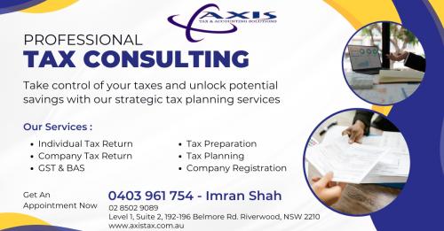 Professional Tax Consulting