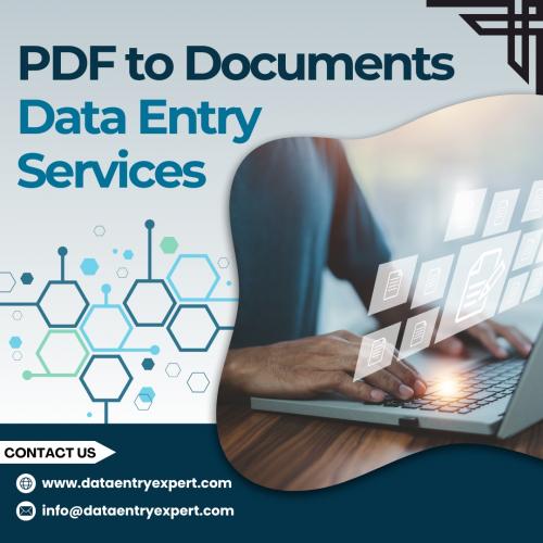 PDF to Documents Data Entry Services