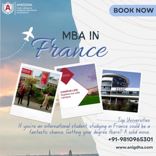 MBA in France