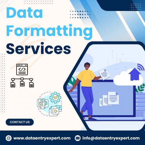 Data Formatting Services