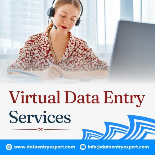 Virtual data entry services