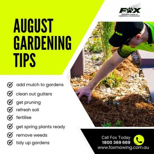 August Gardening Tips