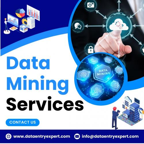 Data Mining Services