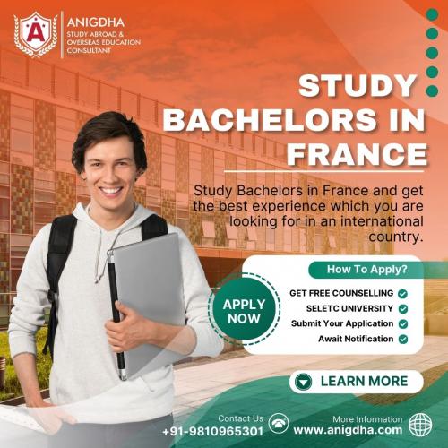 Study Bachelors in France