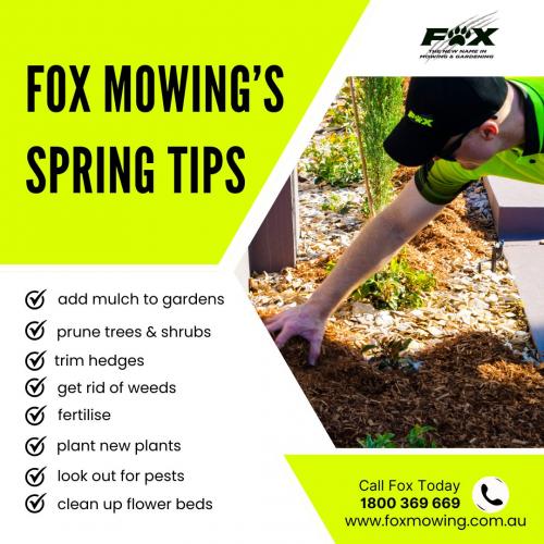 Fox Mowing Spring Tips