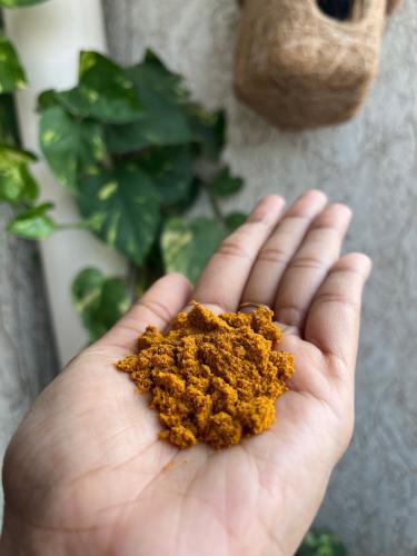 homemade-sambar-podi-masala-tocco