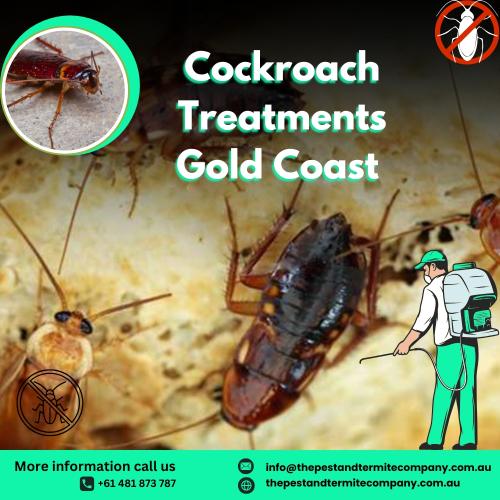 Cockroach Treatments Gold Coast – Effective Pest Control Solutions