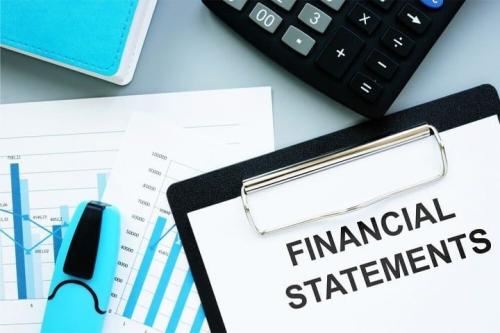 Trusted Financial Statement Audit Services in UAE By Vigor