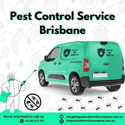 Trusted Pest Control Services in Brisbane