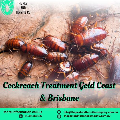 Expert Cockroach Treatment in Gold Coast – Safe & Effective Pest Control