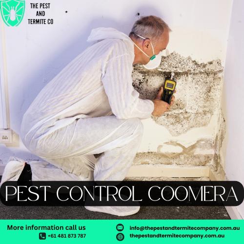 Expert Pest Control in Coomera | The Pest and Termite Co.