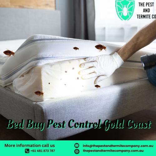 Expert Bed Bug Treatments | The Pest and Termite Co Australia