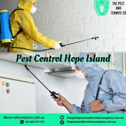 Professional Pest Control Services in Hope Island | The Pest and Termite Co.