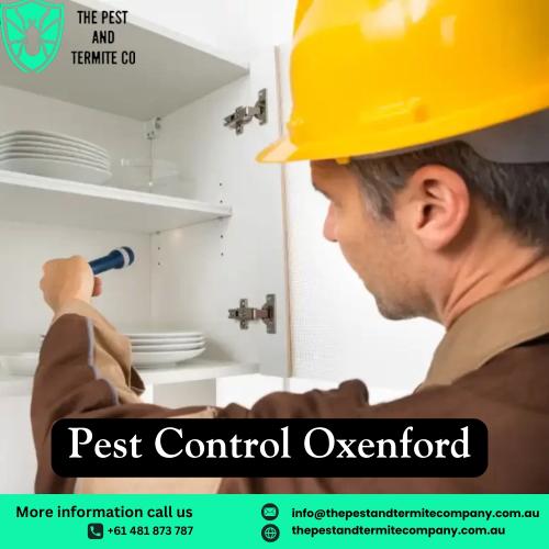 Expert Pest Control Services in Oxenford | The Pest and Termite Co