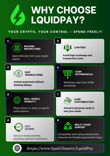 Lquidpay-infographic