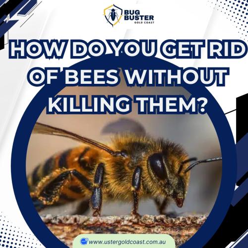 How Do You Get Rid Of Bees Without Killing Them