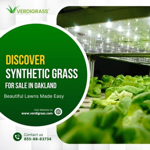 Discover Synthetic Grass for Sale in Oakland – Beautiful Lawns Made Easy!