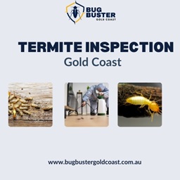 Reliable Termite Inspection in Gold Coast – Protect Your Property Today!