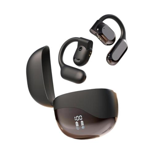 Advanced Technology in Translator Earbuds