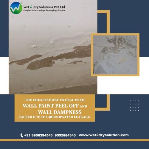 Wall Waterproofing & Dampness Treatment – Wet2Dry Solutions