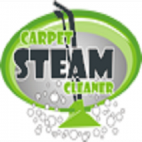 Carpet Steam Cleaner