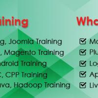 waytoweb education