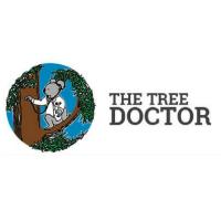 The Tree Doctor