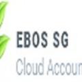 Ebos Singapore