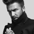 David Warner