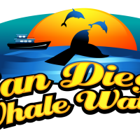 sdwhalewatch