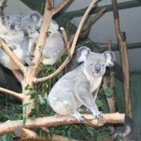 Downunder Travel