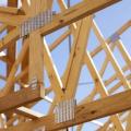 Frames and Trusses