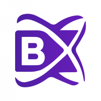 BlockchainX