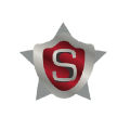 Stone Security Services