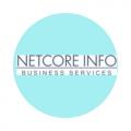 Netcoreinfo Solution