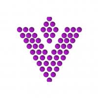 Varsany