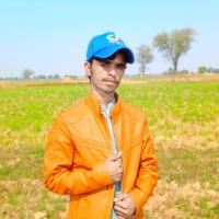 Hassnin ali