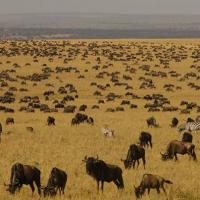 Foot Slopes Tours