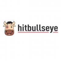 Hit Bullseye