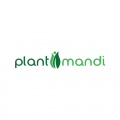 Plant Mandi